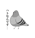 自己紹介をするデブ鳥たち（個別スタンプ：2）