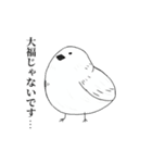 自己紹介をするデブ鳥たち（個別スタンプ：4）