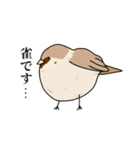自己紹介をするデブ鳥たち（個別スタンプ：15）