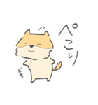 ポメラニアンのぽんさま（個別スタンプ：4）