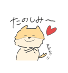 ポメラニアンのぽんさま（個別スタンプ：7）