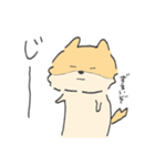 ポメラニアンのぽんさま（個別スタンプ：9）