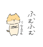 ポメラニアンのぽんさま（個別スタンプ：14）