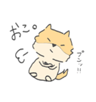 ポメラニアンのぽんさま（個別スタンプ：21）