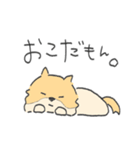 ポメラニアンのぽんさま（個別スタンプ：22）