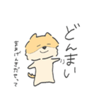 ポメラニアンのぽんさま（個別スタンプ：24）