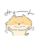 ポメラニアンのぽんさま（個別スタンプ：28）