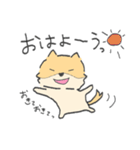 ポメラニアンのぽんさま（個別スタンプ：38）