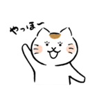 いやしねこ その1（個別スタンプ：1）