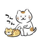 いやしねこ その1（個別スタンプ：12）