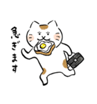 いやしねこ その1（個別スタンプ：16）