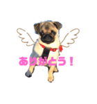 パグのかきちゃん2（個別スタンプ：1）