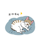 ねこといういきもの（個別スタンプ：13）