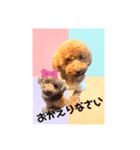 仲良しケンちゃん（個別スタンプ：3）