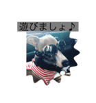 イタグレ mauiスタンプ（個別スタンプ：3）