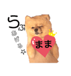 巷で有名なまめ助さん①（個別スタンプ：2）