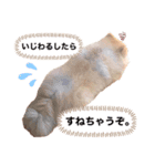 巷で有名なまめ助さん①（個別スタンプ：3）