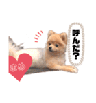 巷で有名なまめ助さん①（個別スタンプ：5）