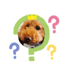 dogcocoa2（個別スタンプ：4）