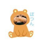 dogcocoa2（個別スタンプ：8）