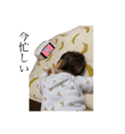 反抗期ひなた。（個別スタンプ：5）
