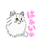 めめちゃんのスタンプ！（個別スタンプ：1）