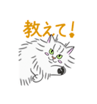 めめちゃんのスタンプ！（個別スタンプ：5）