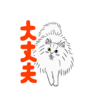 めめちゃんのスタンプ！（個別スタンプ：13）