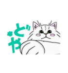 めめちゃんのスタンプ！（個別スタンプ：17）