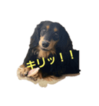 ライルの日常（個別スタンプ：3）
