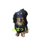 ライルの日常（個別スタンプ：7）