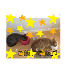 しんご♡フク 2（個別スタンプ：4）