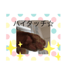 しんご♡フク 2（個別スタンプ：5）