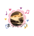 しんご♡フク 2（個別スタンプ：6）