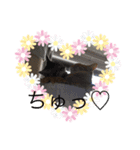 しんご♡フク 2（個別スタンプ：7）
