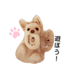 ミル。（個別スタンプ：1）