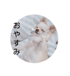 ミル。（個別スタンプ：5）