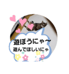 ニャンニャ～ズ（個別スタンプ：3）