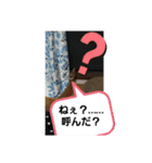 ニャンニャ～ズ（個別スタンプ：4）