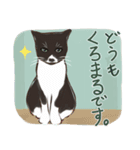 くろまるくんスタンプ（個別スタンプ：1）