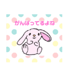 うるうる～うさぎ（個別スタンプ：3）