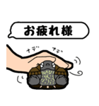 亀と飼い主スタンプ（個別スタンプ：4）