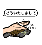 亀と飼い主スタンプ（個別スタンプ：6）