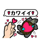 亀と飼い主スタンプ（個別スタンプ：10）
