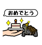 亀と飼い主スタンプ（個別スタンプ：11）