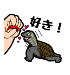 亀と飼い主スタンプ（個別スタンプ：15）