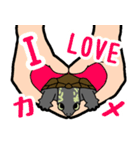 亀と飼い主スタンプ（個別スタンプ：16）