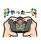 亀と飼い主スタンプ（個別スタンプ：17）