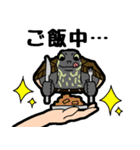 亀と飼い主スタンプ（個別スタンプ：23）