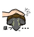 亀と飼い主スタンプ（個別スタンプ：25）